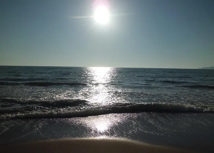 Guest house Red Rose