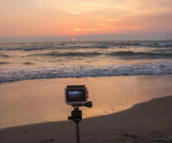 Red Rose Guest house