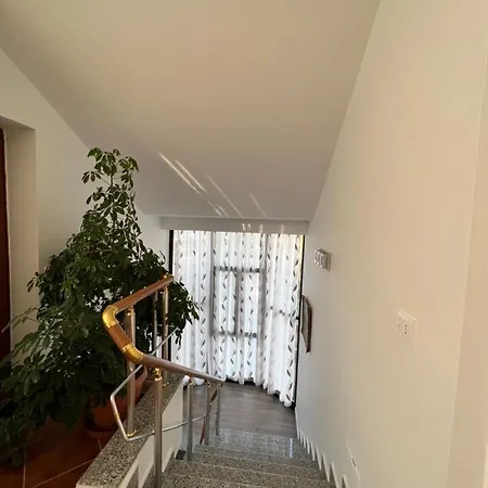 Red Rose Πανσιόν 4*