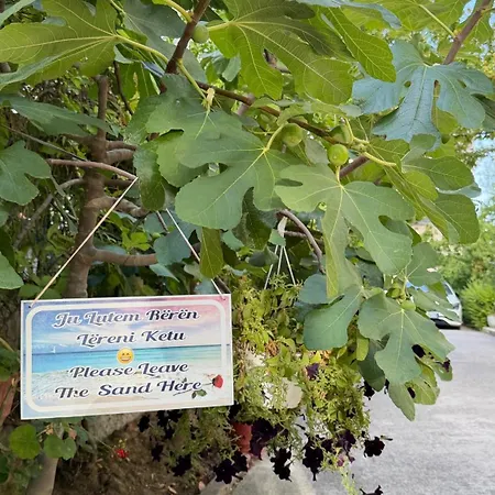 Red Rose Πανσιόν