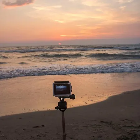 Red Rose Πανσιόν