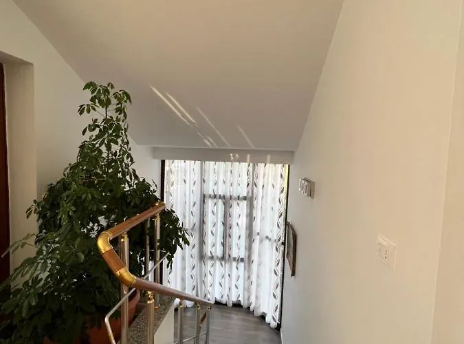 Red Rose Pensión 3*